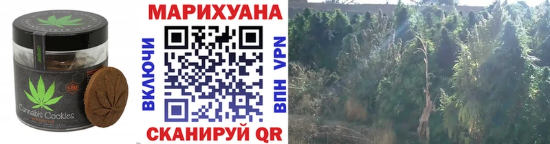 Печенье с ТГК марихуана Моздок