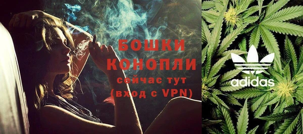 ешки Бронницы